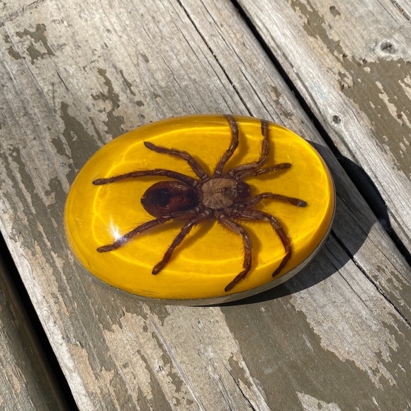 Belt buckle with resin tarantula